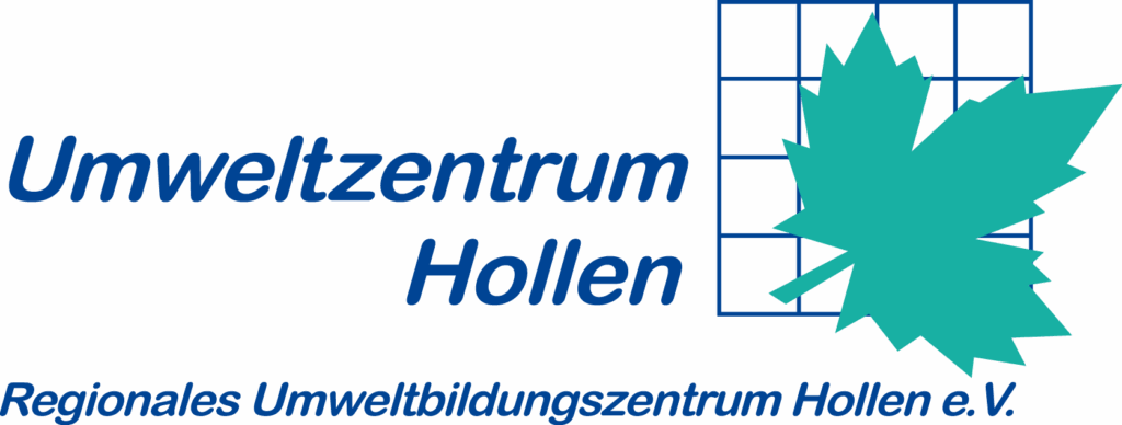 transparent logo